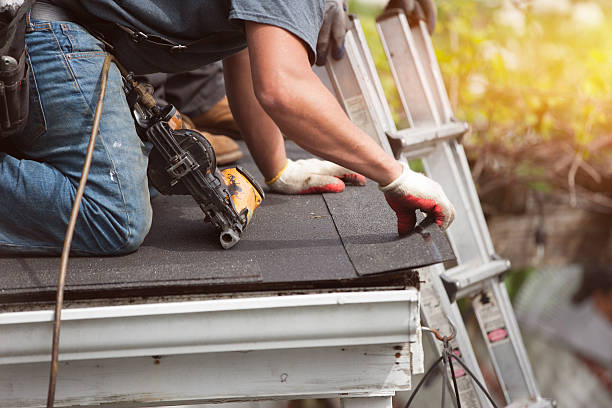 Best Roof Gutter Cleaning  in Iola, WI
